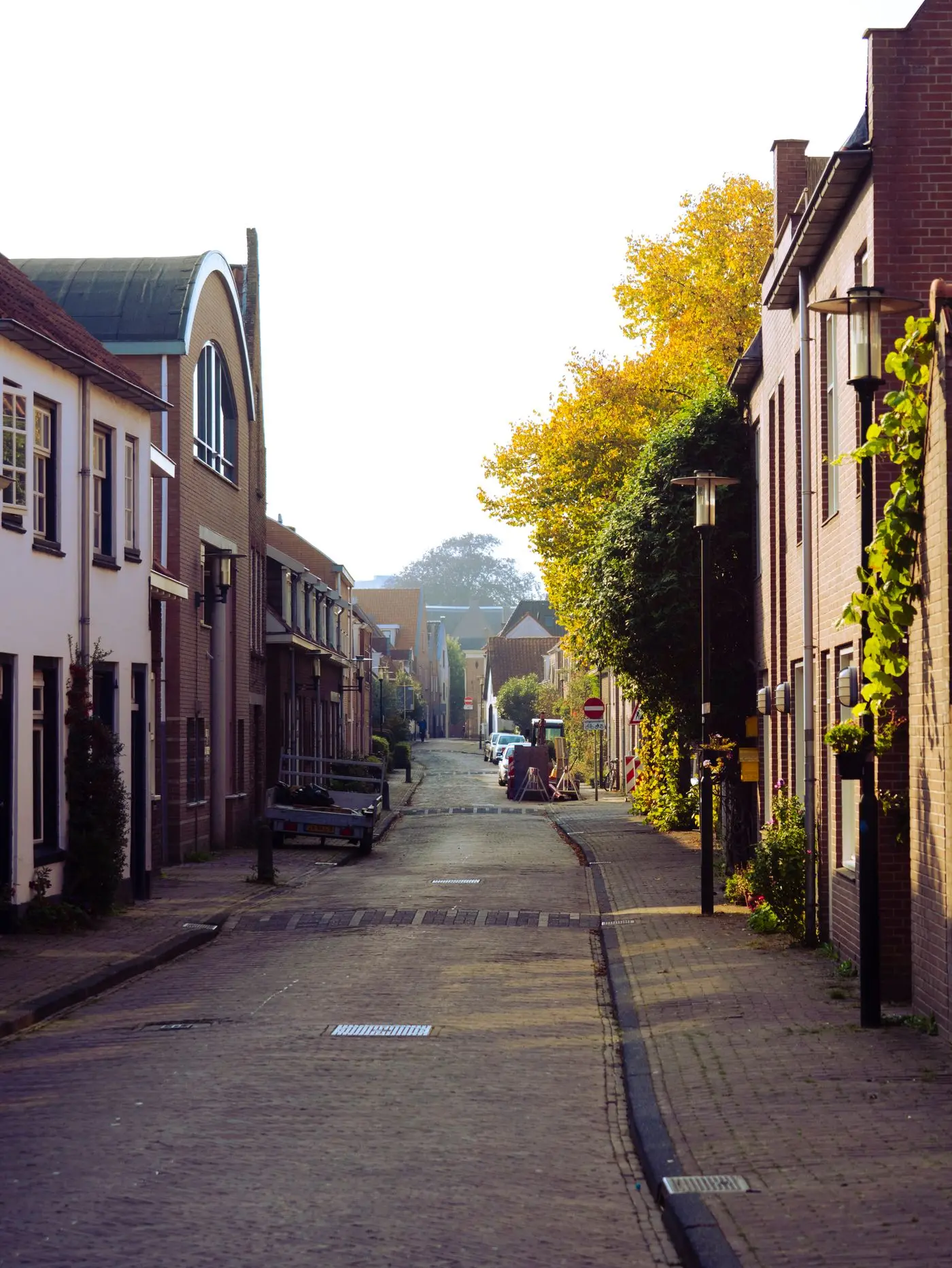 Rustige woonstraat in Amersfoort met herfstbladeren
