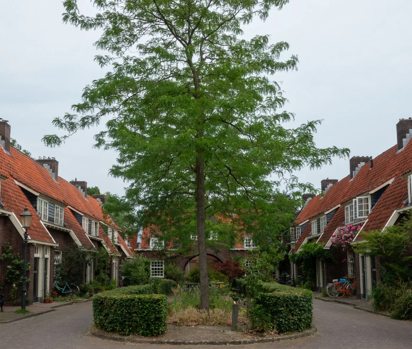Groene woonstraat in Amersfoort